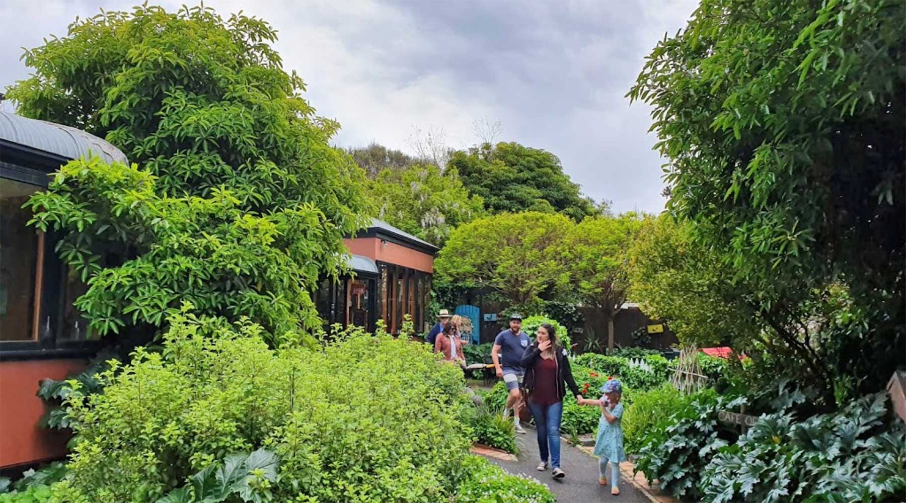 Acoustic Garden Cafe Queenscliff Victoria Cafe & Restaurant