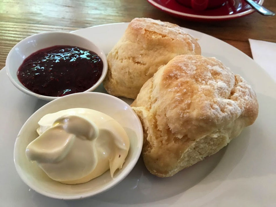 Acoustic Garden Cafe Queenscliff Victoria Cafe & Restaurant