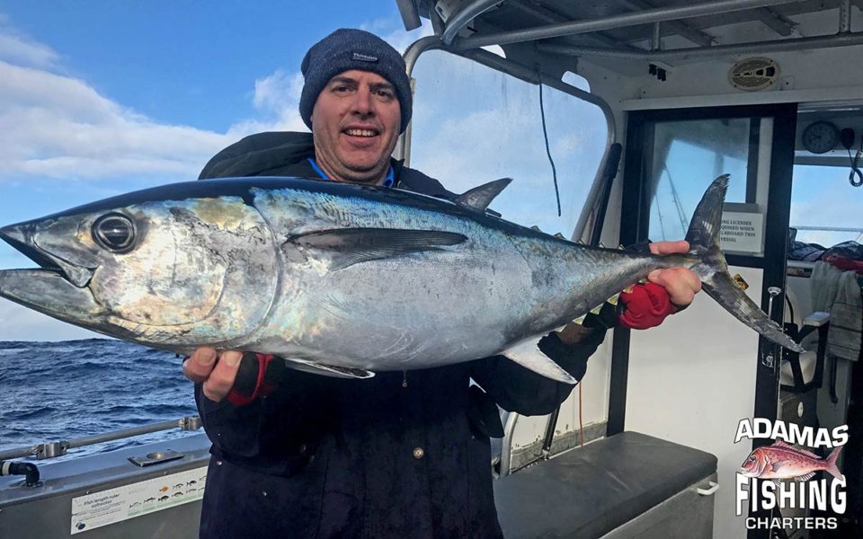 Adamas Fishing Charters Queenscliff Victoria Bay & Ocean Fishing