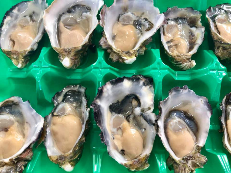 MiShells Seafood Queenscliff Victoria Local Fresh Fish & Seafood