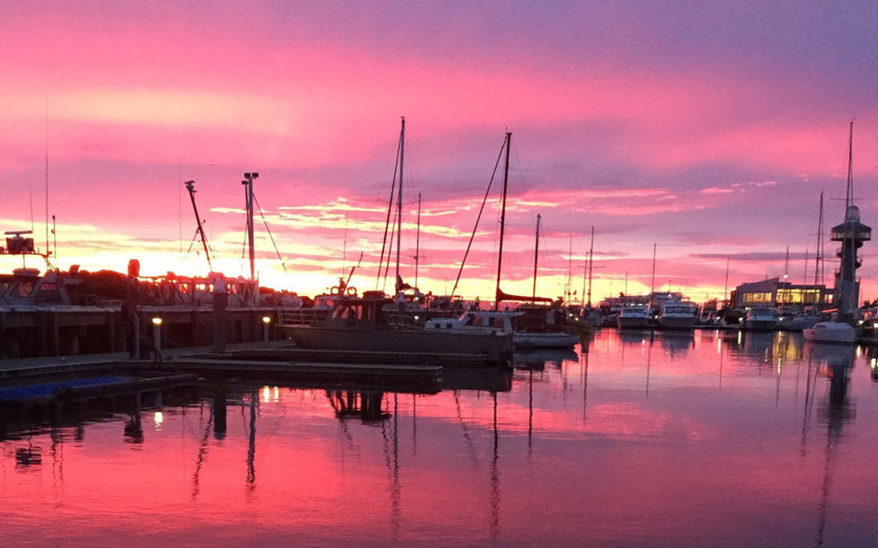 MiShells Seafood Queenscliff Victoria Local Fresh Fish & Seafood