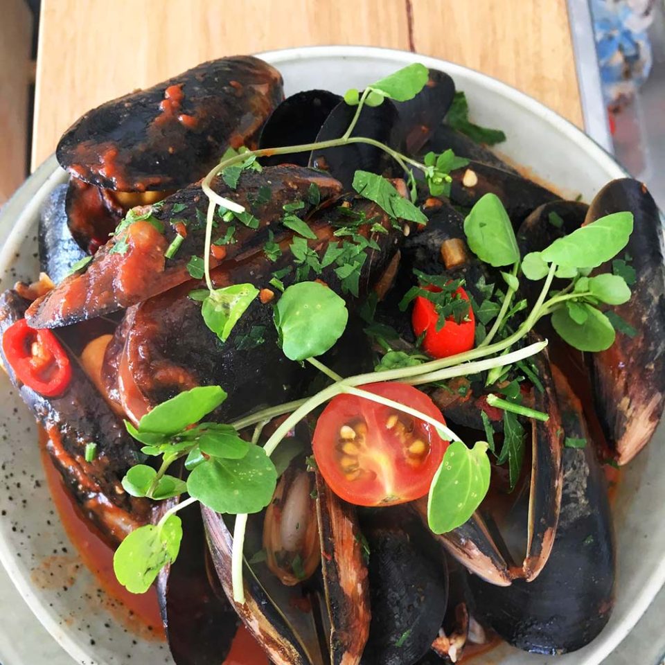 Na Zdraví Queenscliff Victoria Authentic Italian Woodfired Pizza