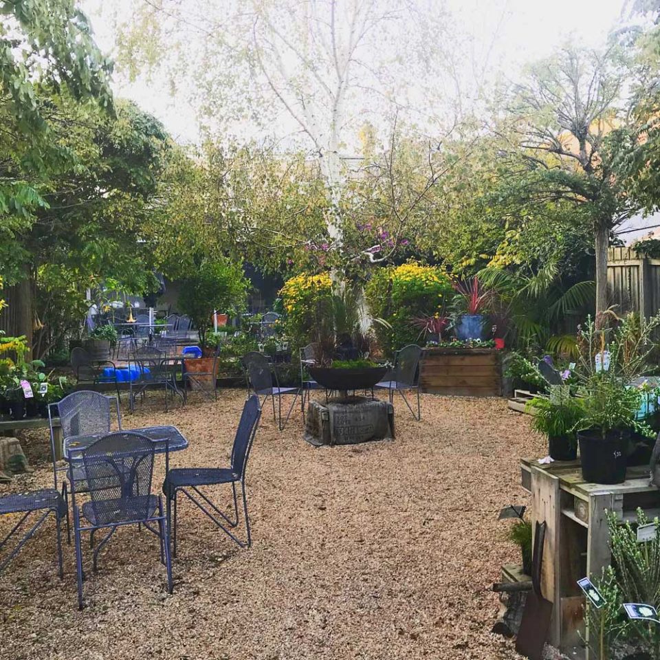 Yard 58 Queenscliff Victoria Restaurant Cafe & Garden Settings